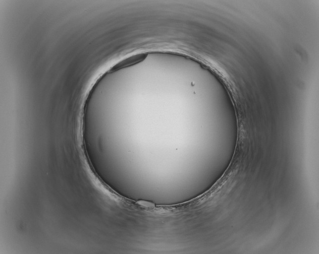 X0000111851528200908061304