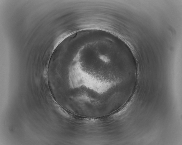 X0000111851529200908061304