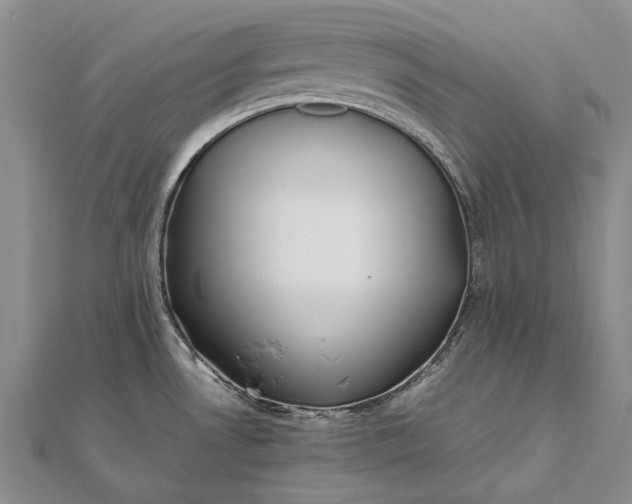 X0000111851530200908061304