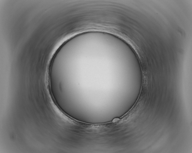 X0000111851531200908061304