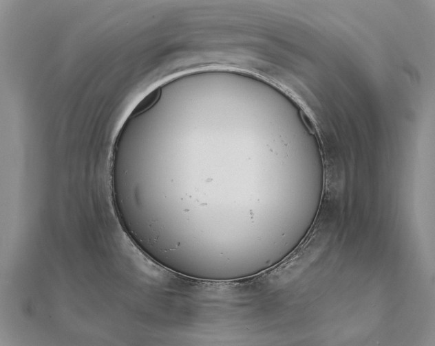 X0000111851532200908061304