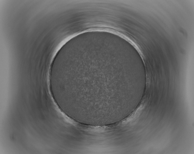 X0000111851533200908061304