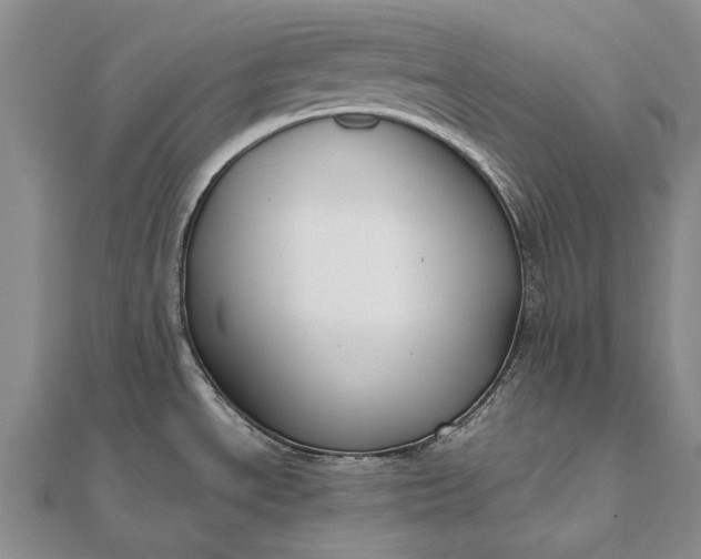 X0000111851534200908061304