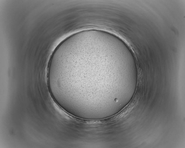 X0000111851535200908061304