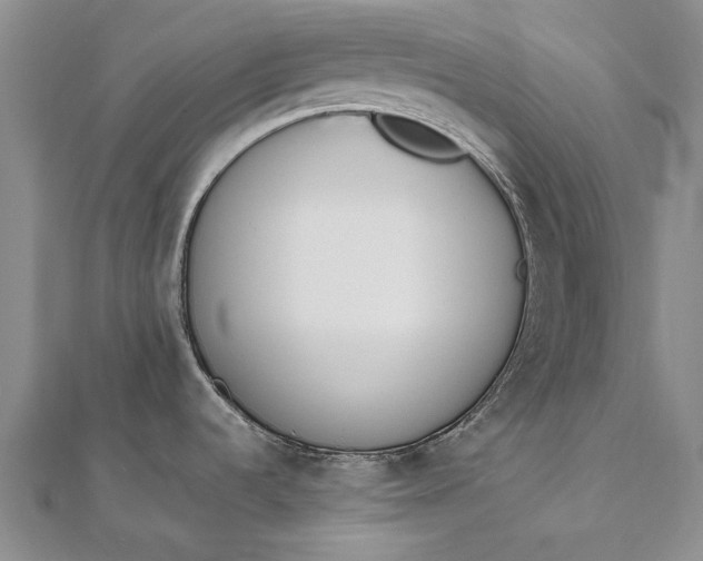 X0000111851536200908061304