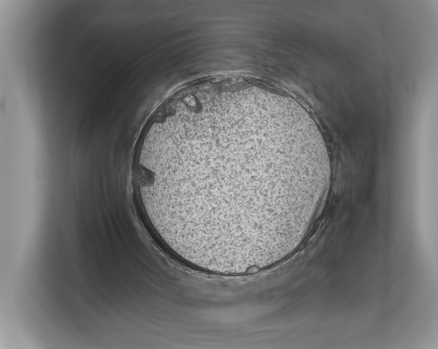 X0000111850002200908131448