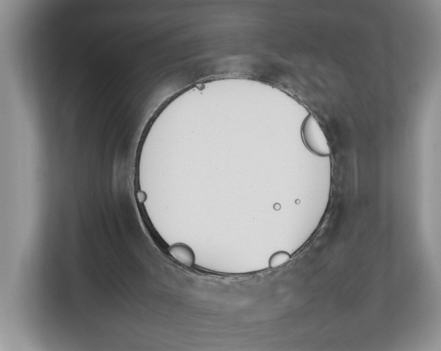 X0000111850003200908131448