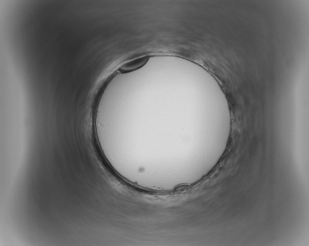 X0000111850005200908131448