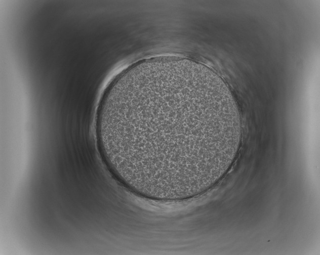 X0000111850006200908131448