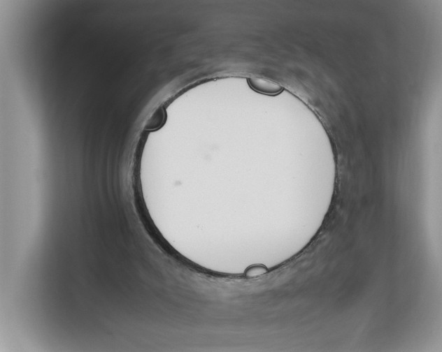 X0000111850007200908131448