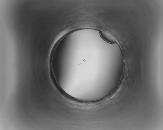 X0000111850008200908131448