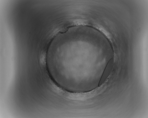 X0000111850009200908131448