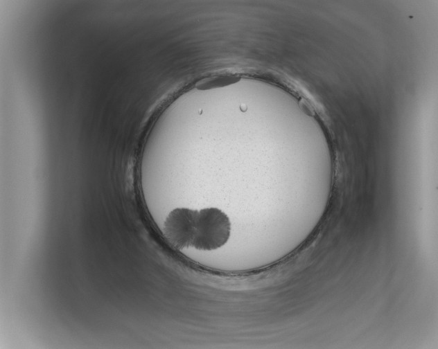 X0000111850010200908131448