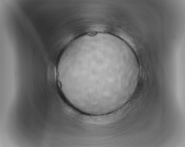 X0000111850013200908131448