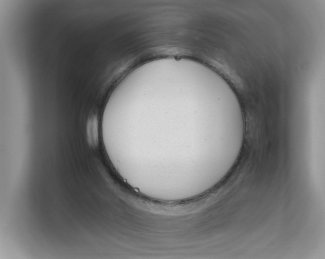 X0000111850014200908131448