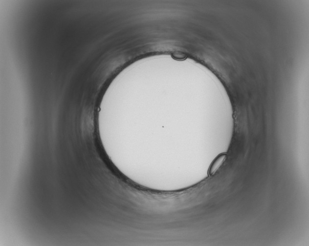 X0000111850015200908131448