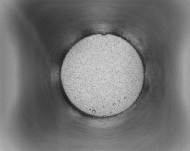 X0000111850017200908131448