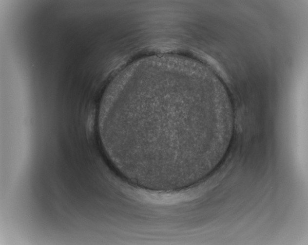 X0000111850018200908131448