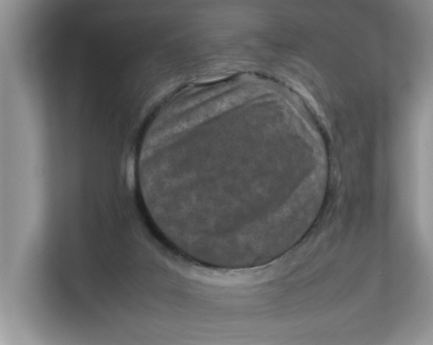 X0000111850019200908131448