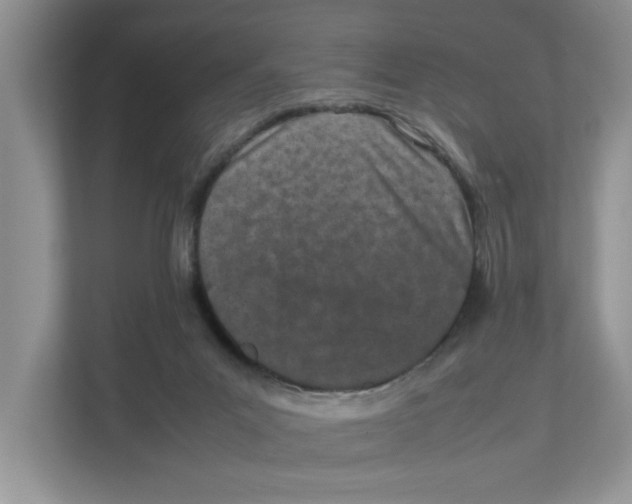 X0000111850023200908131448