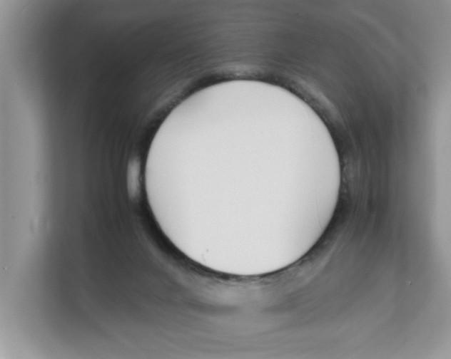 X0000111850024200908131448