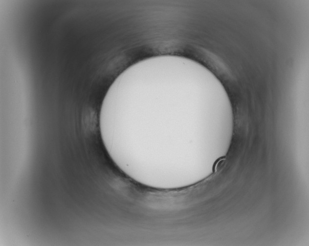 X0000111850025200908131448