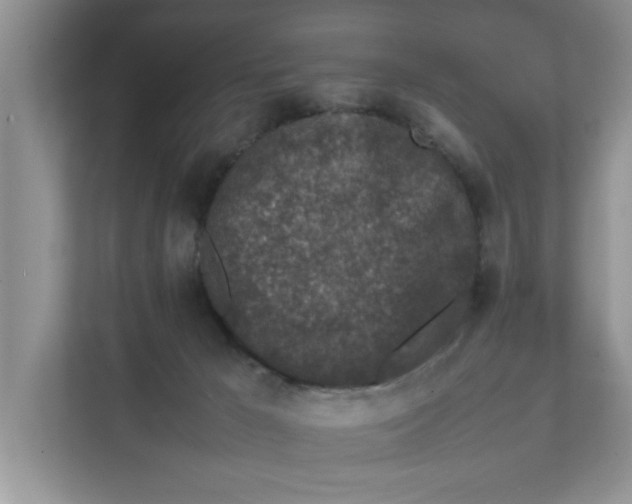 X0000111850029200908131448