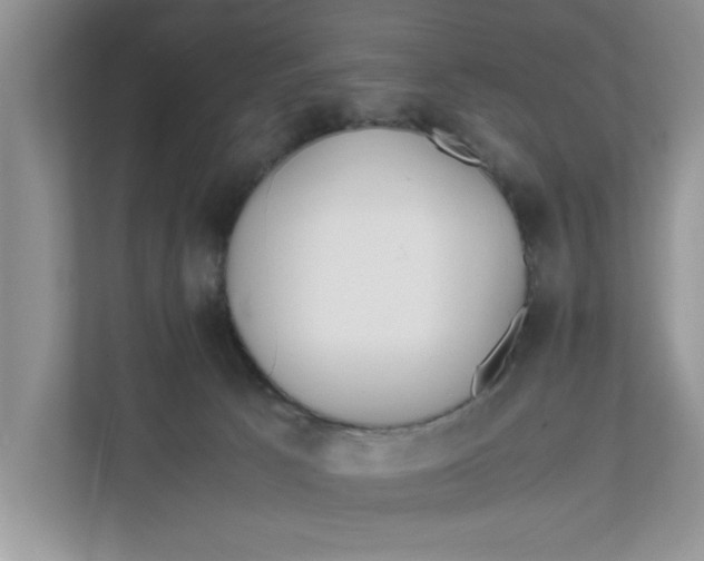 X0000111850033200908131448