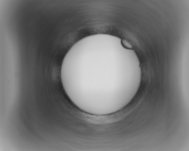 X0000111850034200908131448