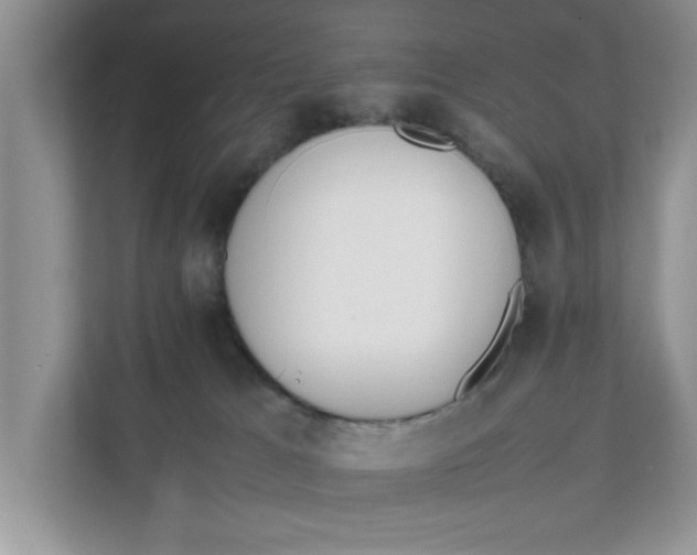 X0000111850037200908131448