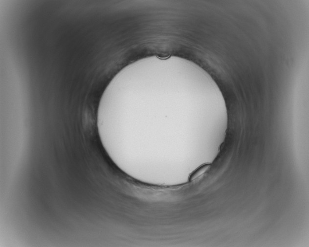 X0000111850040200908131448