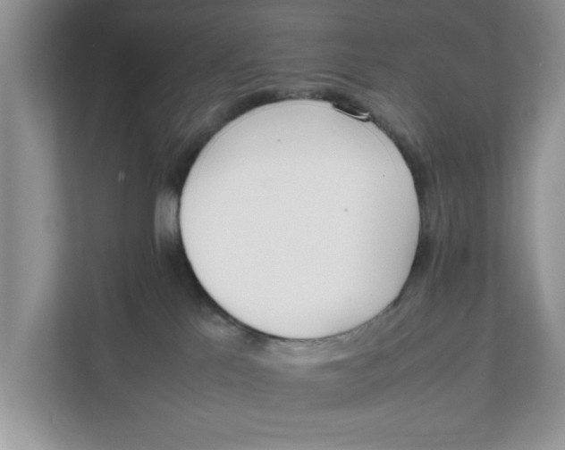 X0000111850041200908131448