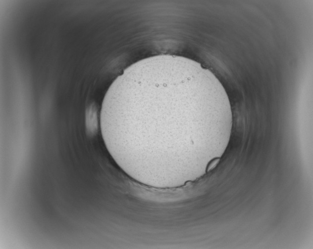 X0000111850042200908131448