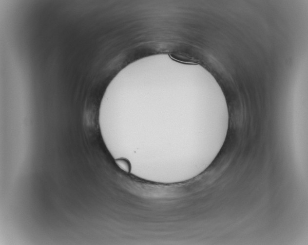 X0000111850044200908131448