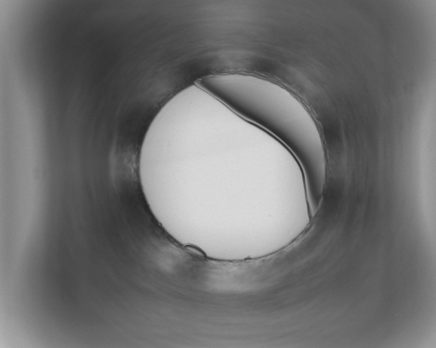 X0000111850045200908131448