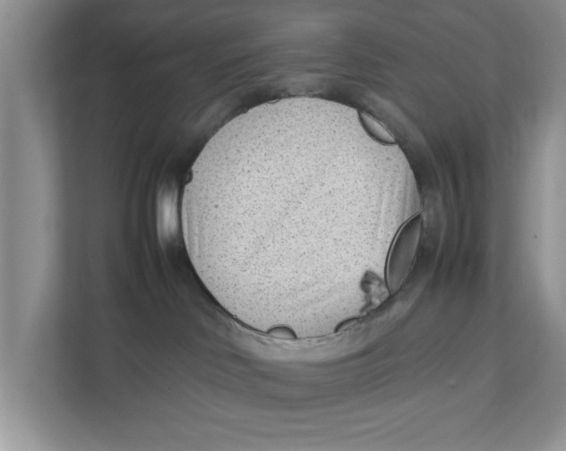 X0000111850046200908131448