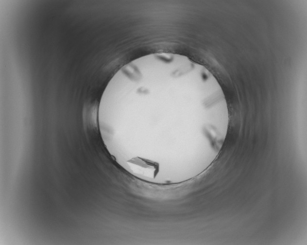 X0000111850047200908131448