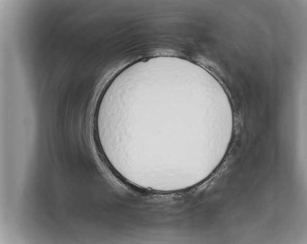 X0000111850049200908131447