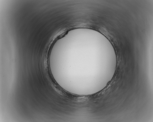 X0000111850050200908131447