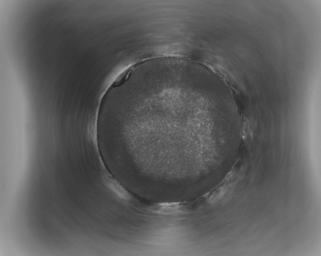 X0000111850052200908131447