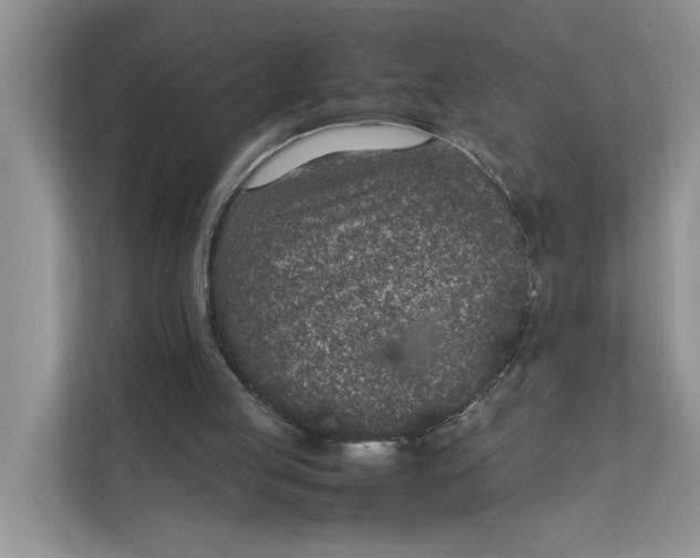 X0000111850053200908131447