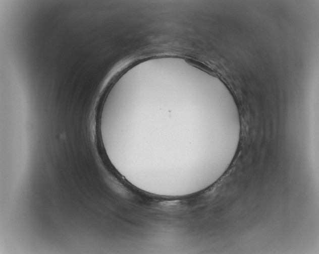 X0000111850054200908131447