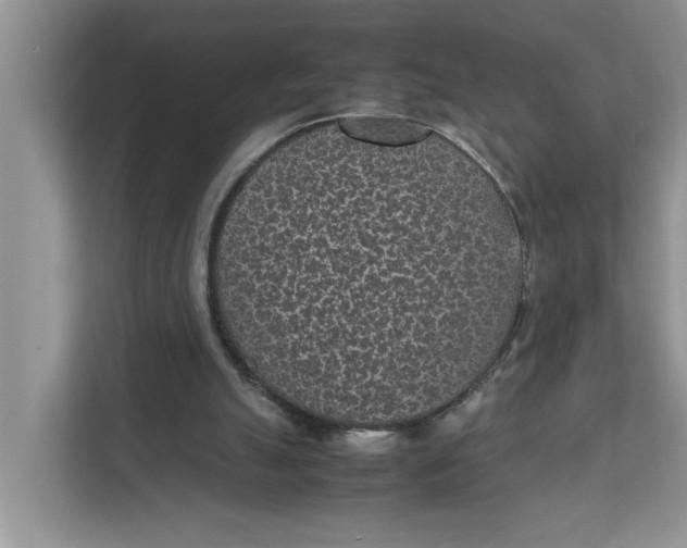 X0000111850055200908131447