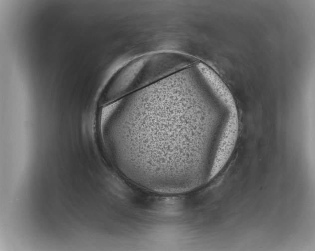 X0000111850056200908131447