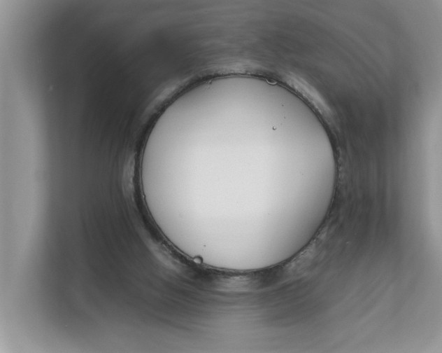 X0000111850058200908131447