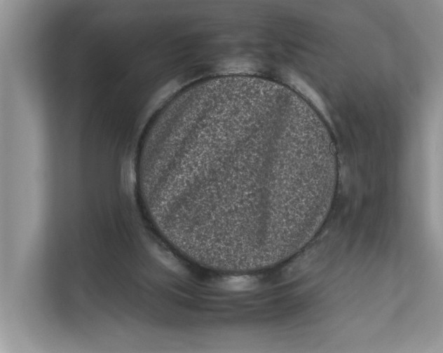 X0000111850059200908131447