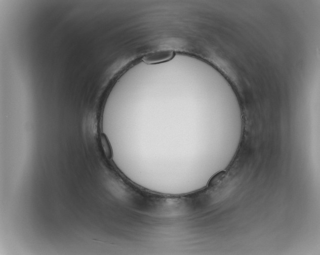 X0000111850060200908131447