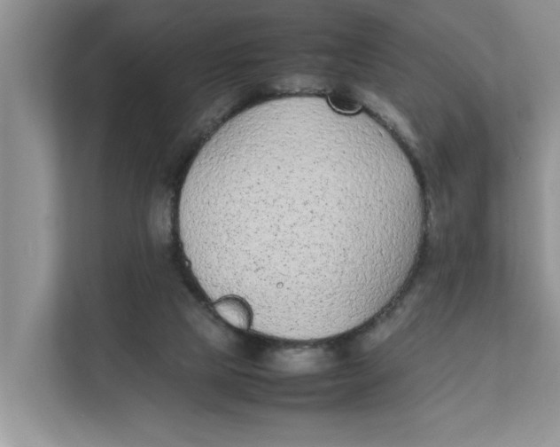 X0000111850065200908131447