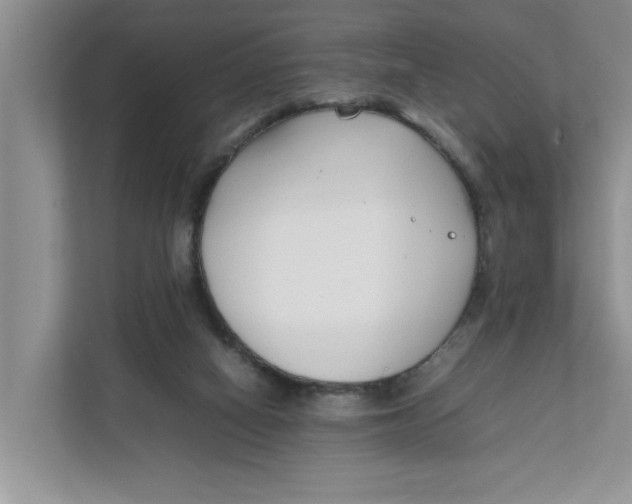 X0000111850066200908131447