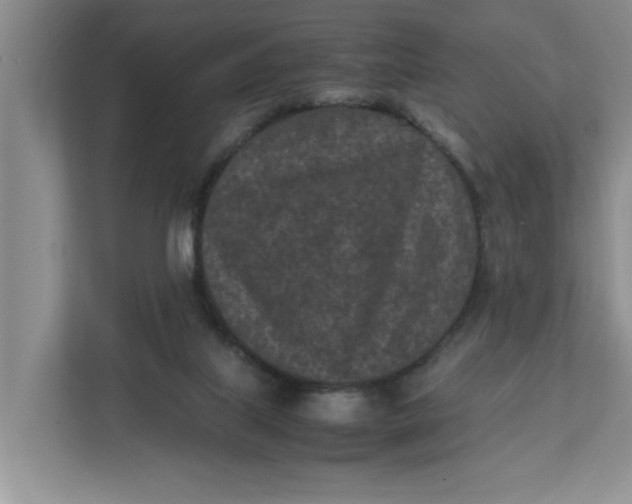 X0000111850067200908131447